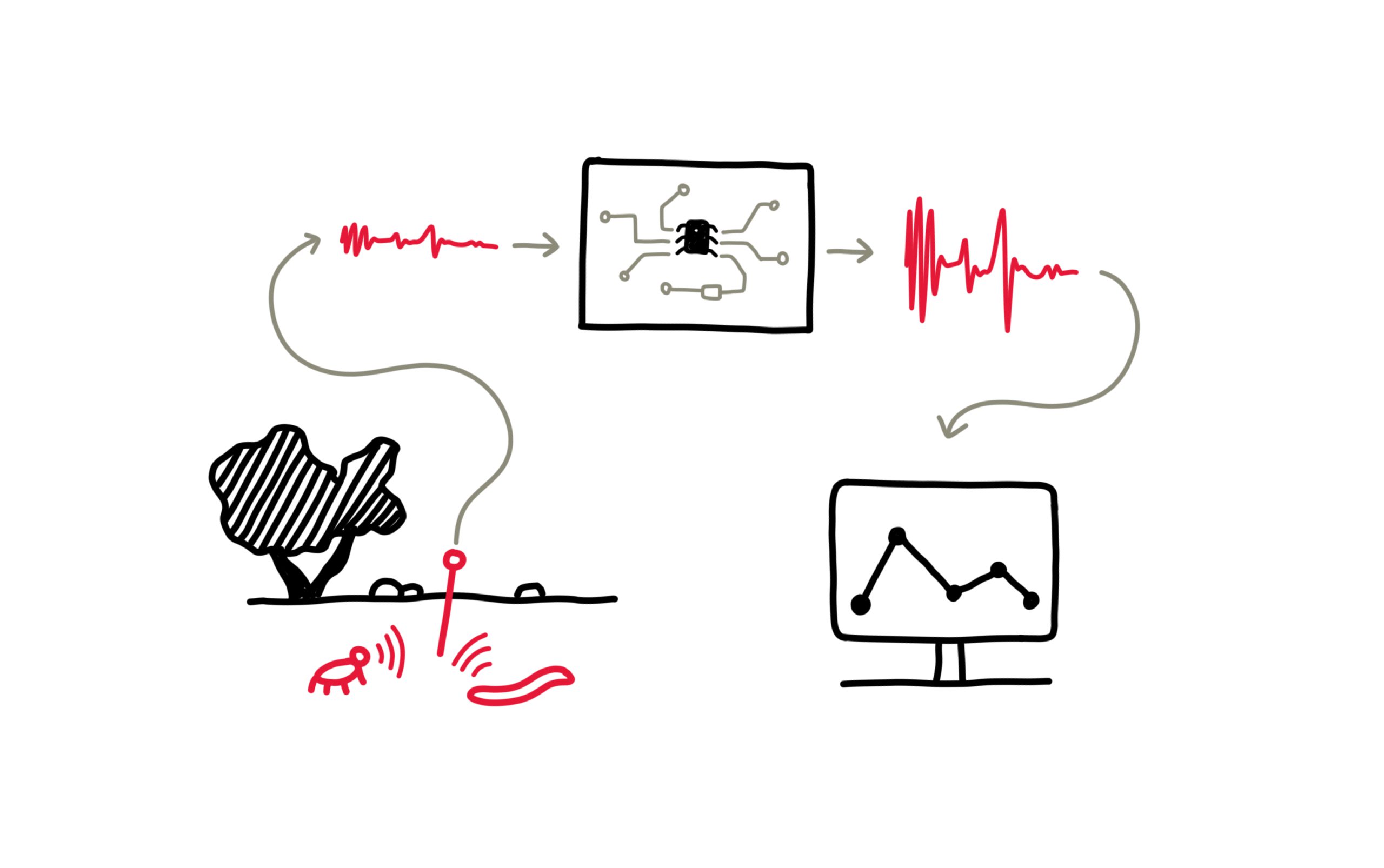 Filippo De Togni – Soil Ecoacoustic Preamp