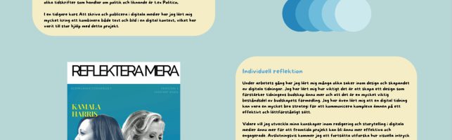 Reflektera Mera! – En digital tidning