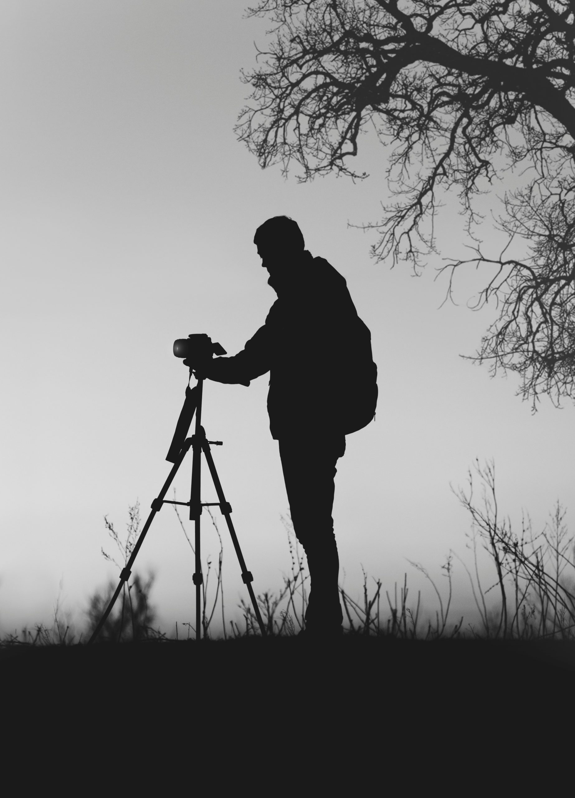 Potential and Dangers of AI in the Work of Artists – An Interactive Post