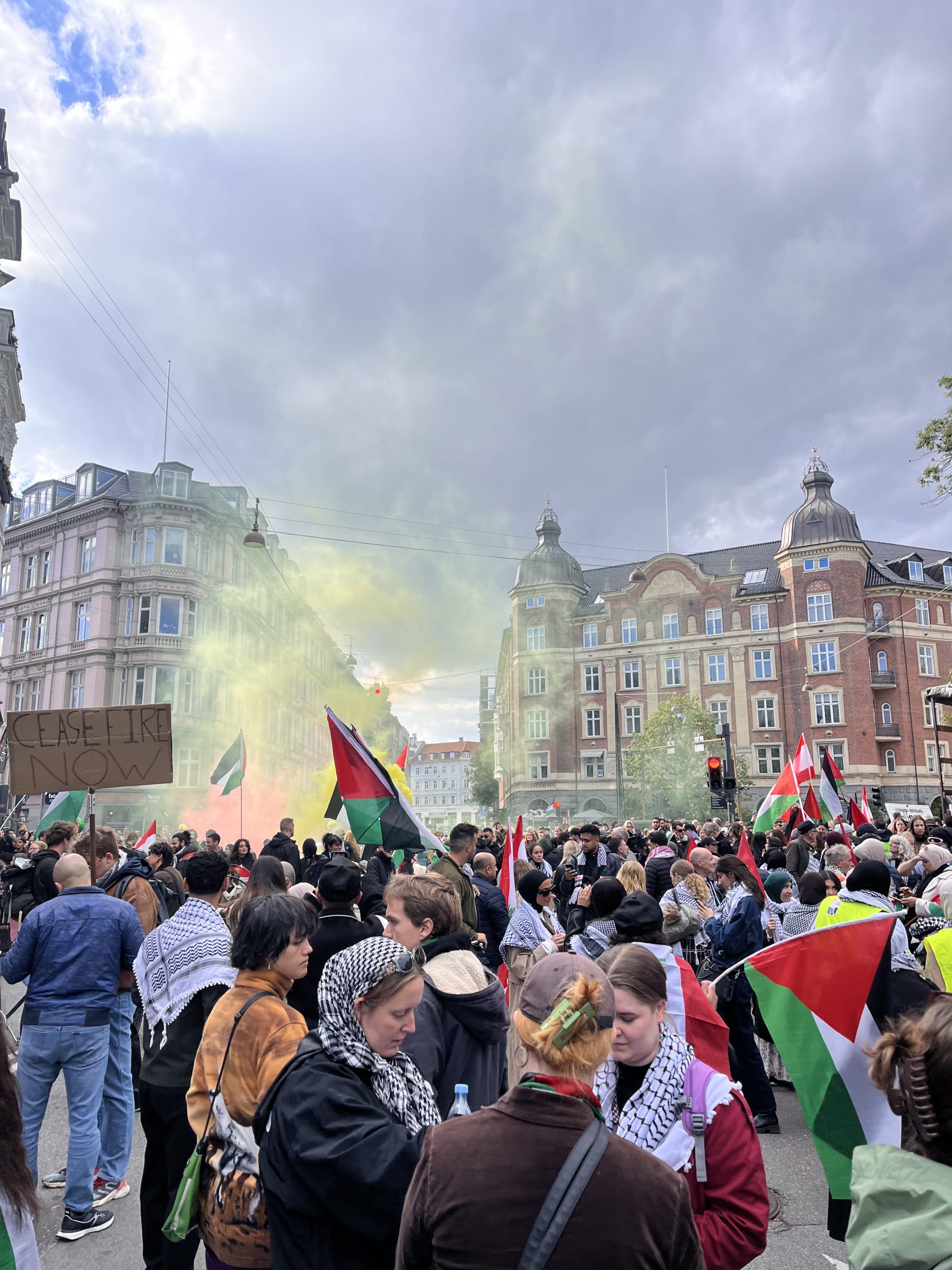 Digital Acivism and Palestine: A view from Copenhagen