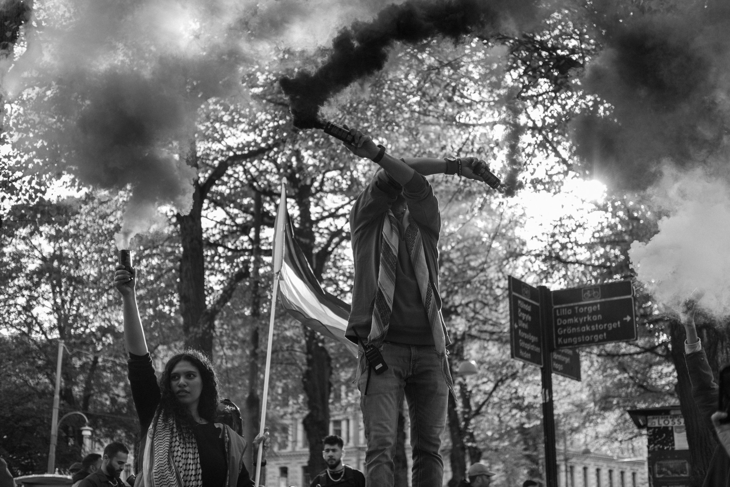 Pro-Palestinian activism in Austria: silencing and repression