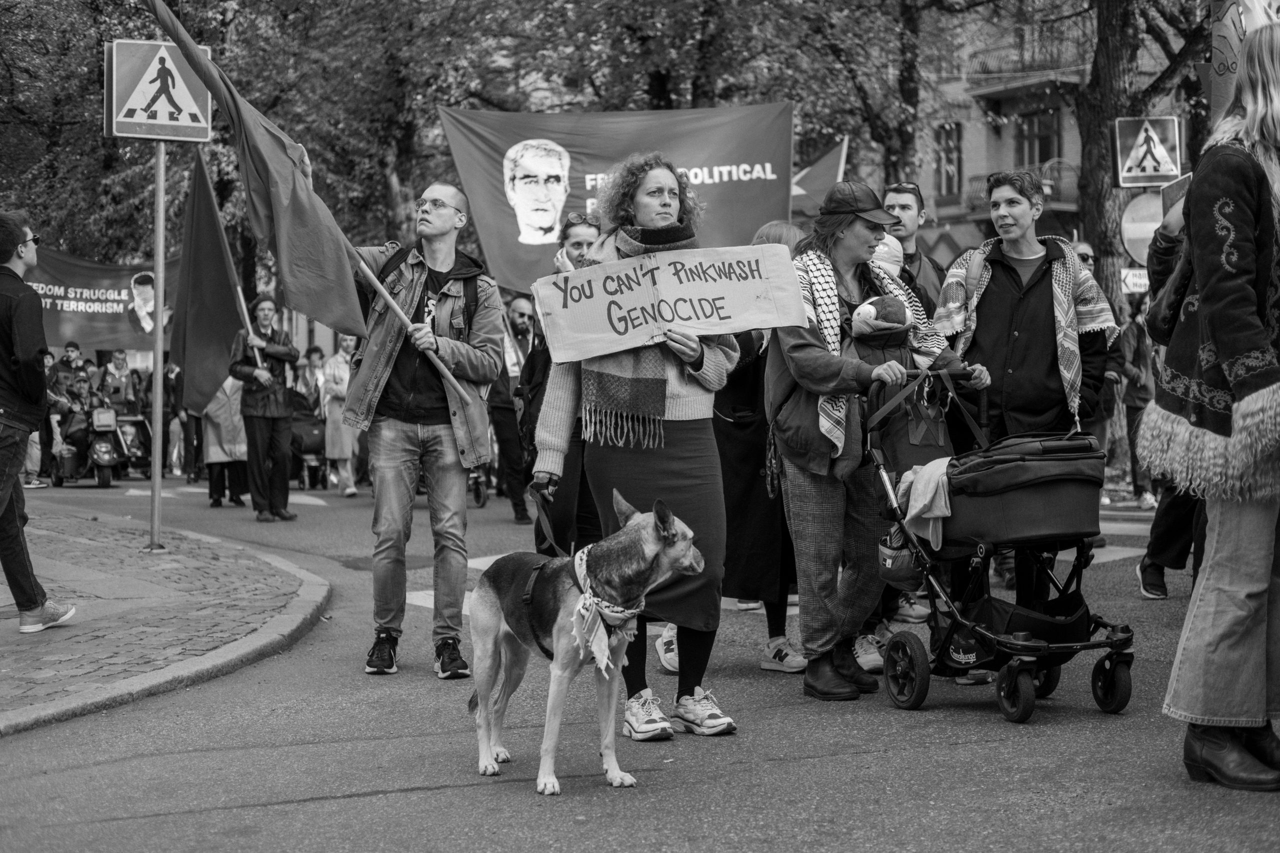 Voices of Resistance: Pro-Palestinian Queer Activists on Repression