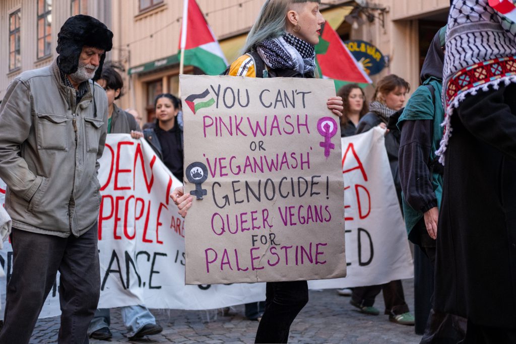 Queer-Pro-Palestinian-Activism
