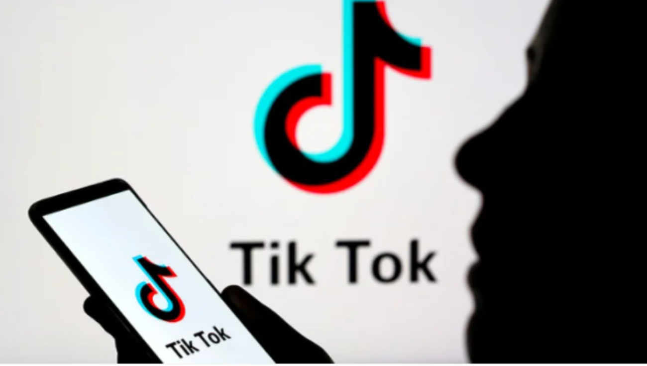 TikTok for good? NGOs are tapping into the potential of TikTok
