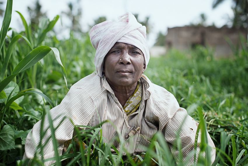 Agricultural worker in Karnataka, India 2014