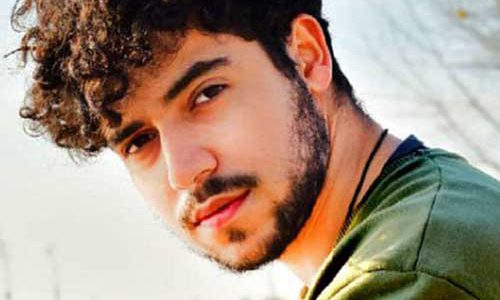 Viral Song as Vehicle for Voice