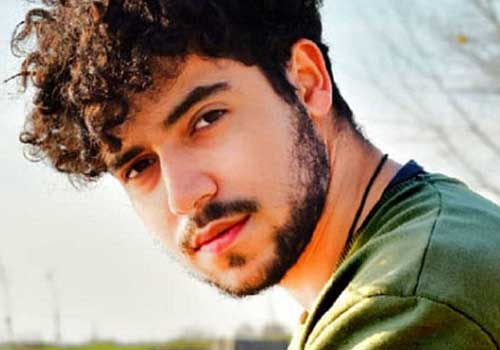 Viral Song as Vehicle for Voice