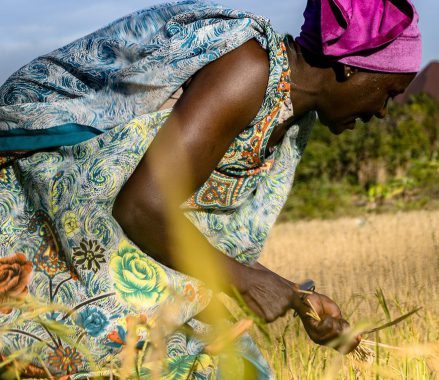 Are you Ready to Embrace the “Brave New World” of Digital Agriculture?