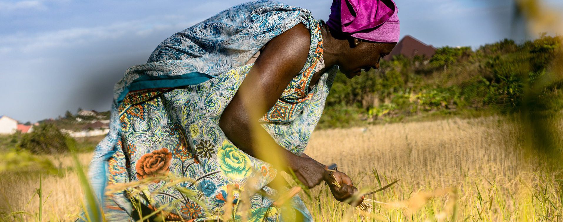 Are you Ready to Embrace the “Brave New World” of Digital Agriculture?