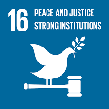 Digital Dimensions of Peace-building