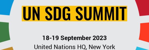 The SDGs – A watered down revolution?