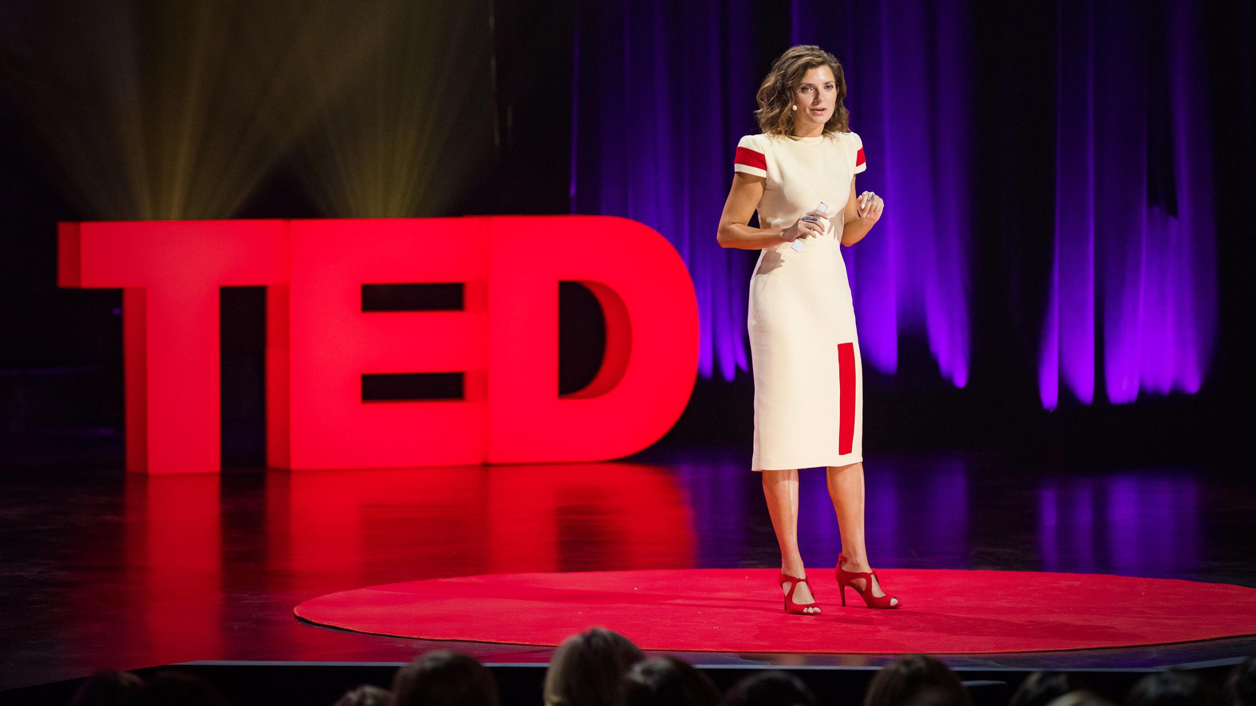 From TED Talks to Development Blogs: Navigating the World of Ideas