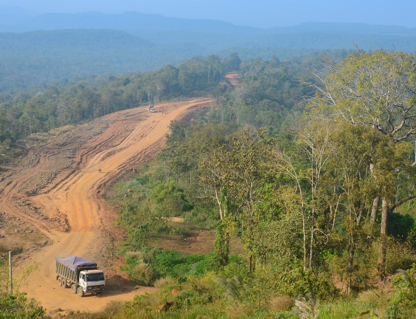 Mother Nature Cambodia, the Right Livelihood Award and why Facebook still matters