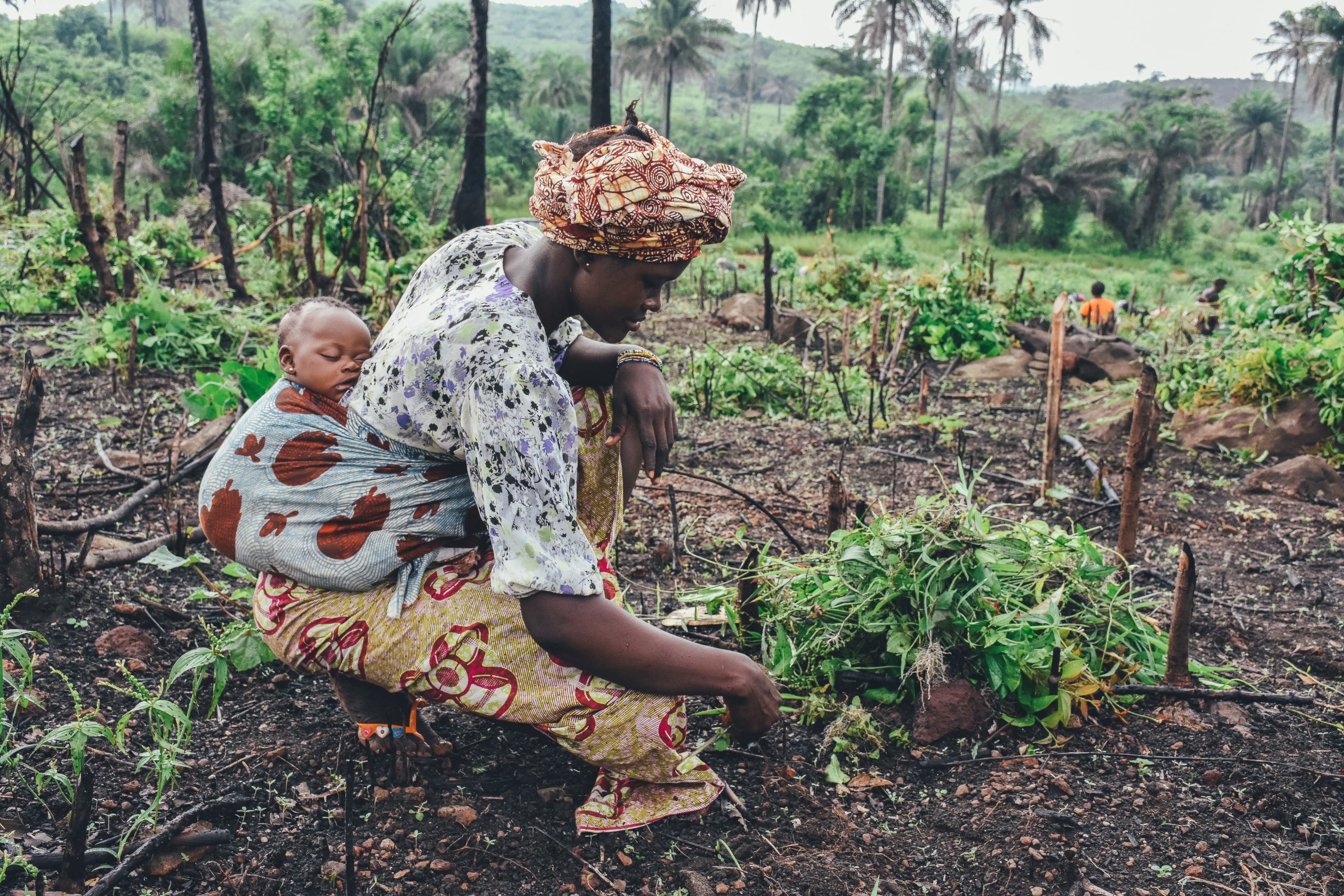 Empowerment or Exploitation? Navigating Digital Capitalism’s Dual Impact on Women in the Global South