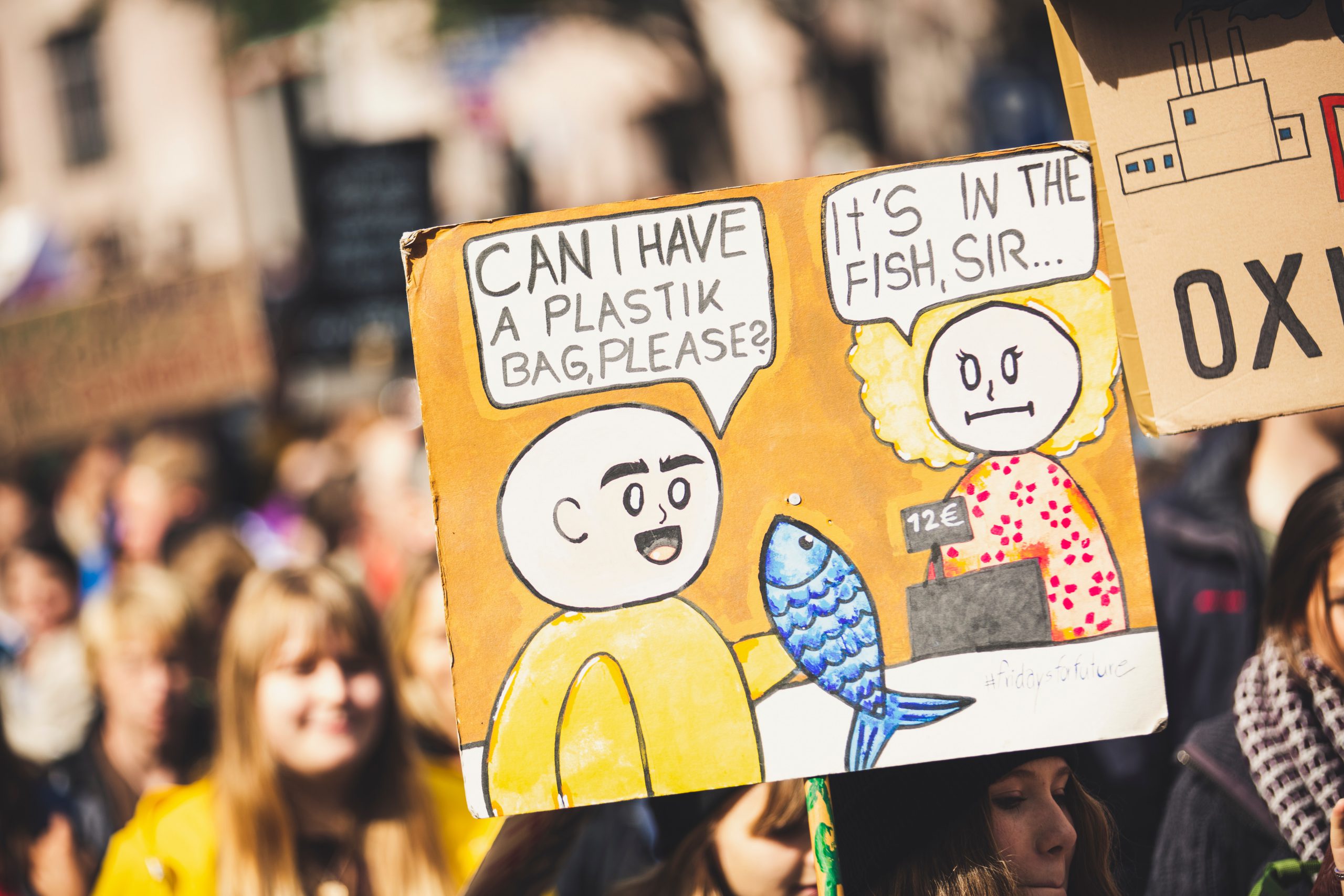 No Laughing Matter: Is Gen Z’s use of humour in digital activism helpful or harmful to their causes?