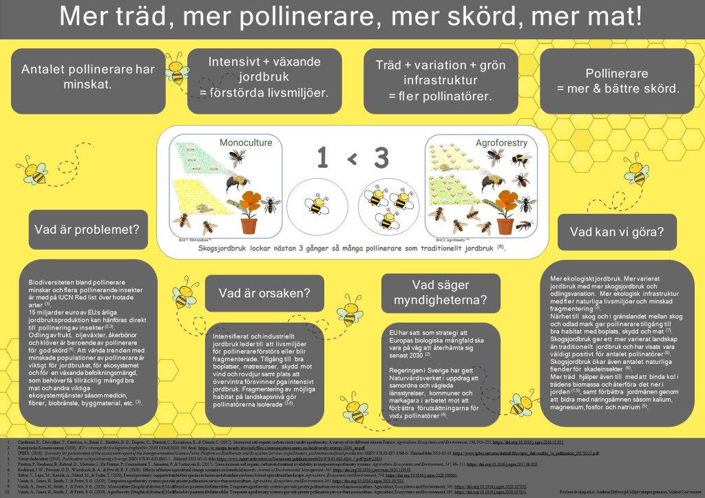 Poster från kursen MV211A Läsa, skriva och diskutera miljövetenskap skapad av andreas Ekfrost (2020). Publicerad med tillstånd.