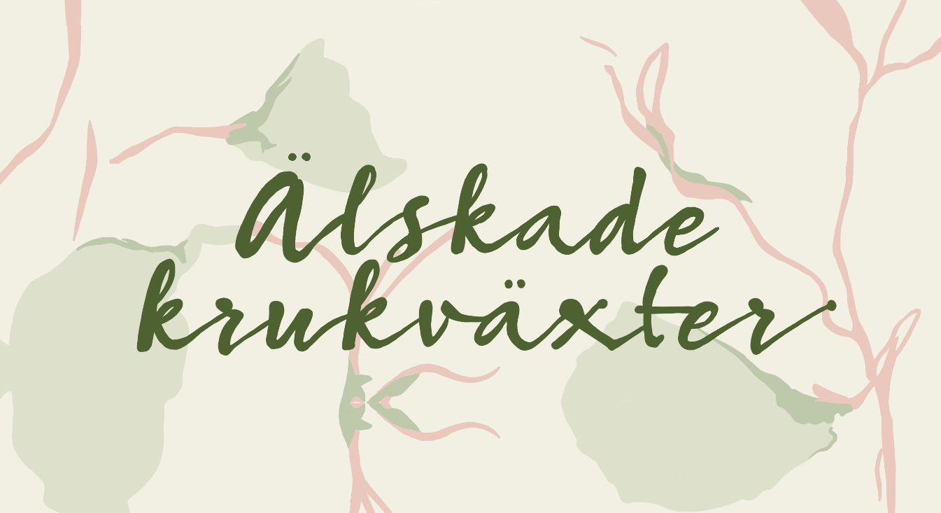 BOKTIPS: Älskade Krukväxter
