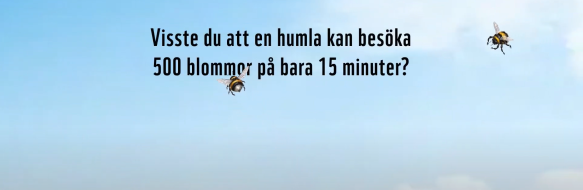 Den Surrande Hjälten
