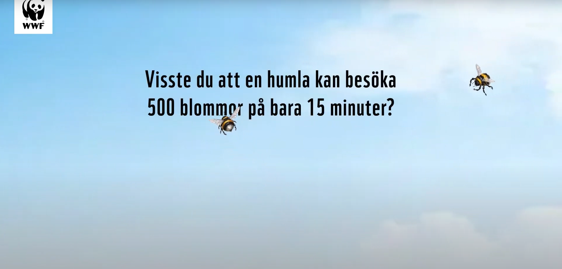 Den Surrande Hjälten