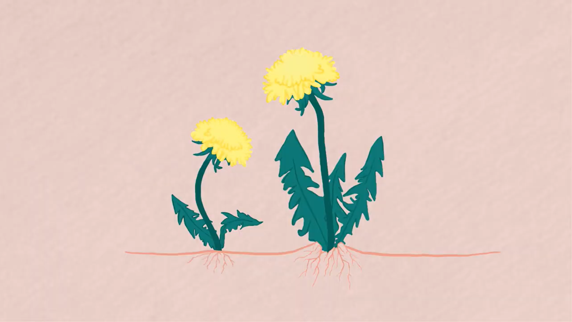 MASKROSBARN – Vi gör det tillsammans♥︎