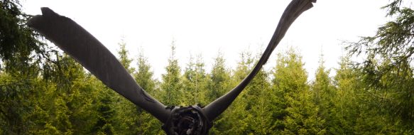 HISTORIA I VITTSJÖ